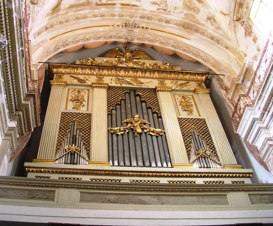 Chiesa san Pietro - Organo la Grassa